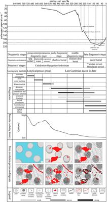 Quantitative characterization and origin of differences in pore parameter distribution: A case study of the lower cambrian longwangmiao formation in the gaoshiti area of central Sichuan Basin